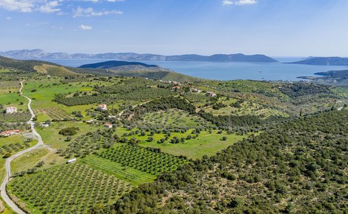 Land in Community of Midea, Midea, Griechenland 1