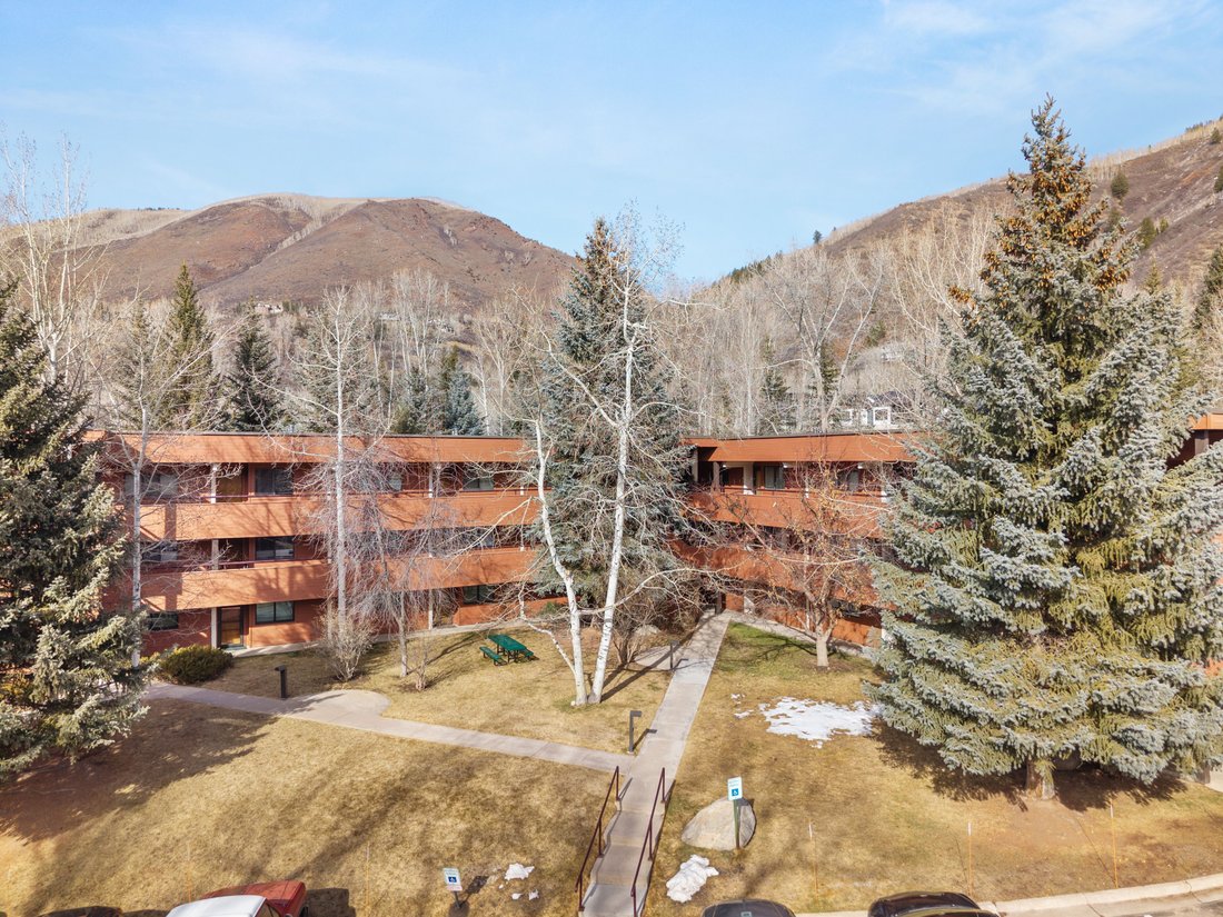 Condo in Aspen, Colorado, United States 1 - 17734150