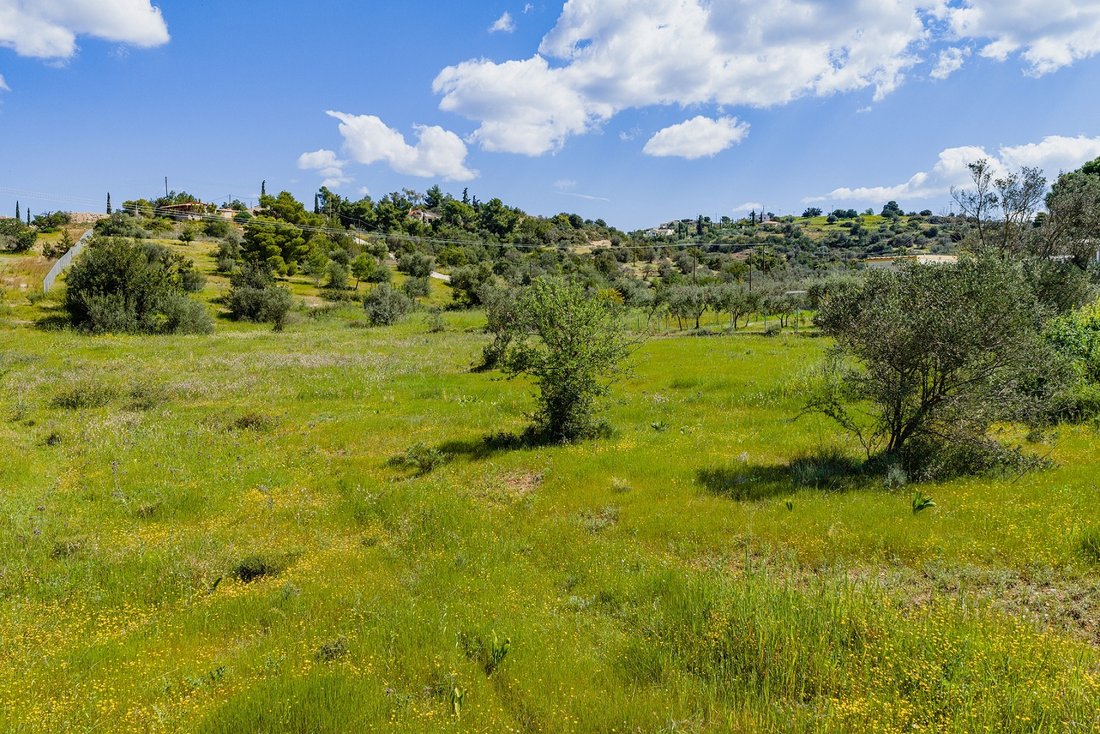 Land in Koinotita Kranidiou, Kranidi, Griechenland 3 - 17734134