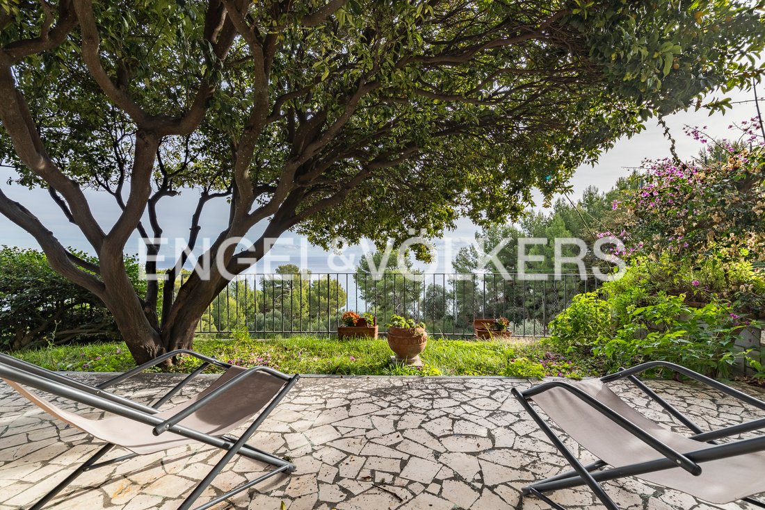 Villa in Diano Marina, Liguria, Italy 3 - 17734312