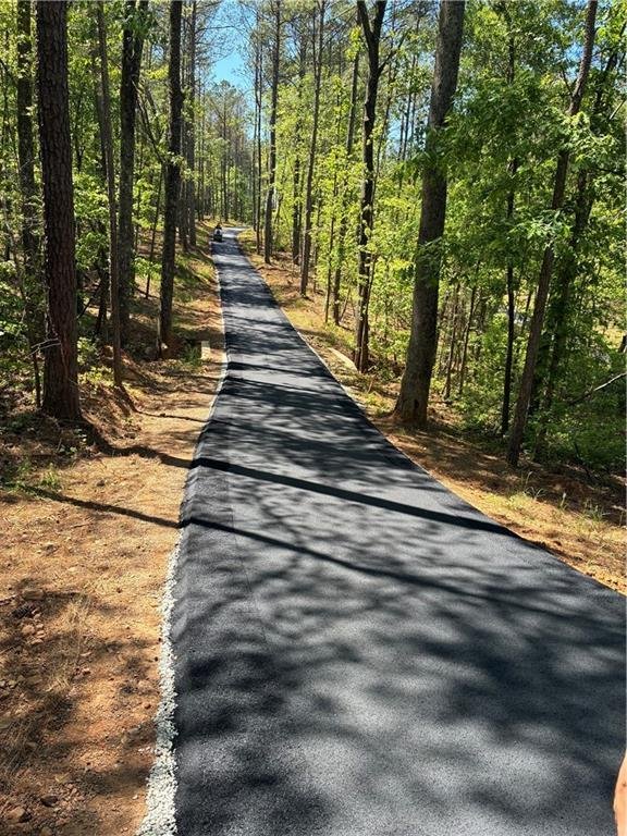 House in Winston, Georgia, United States 4 - 17490449