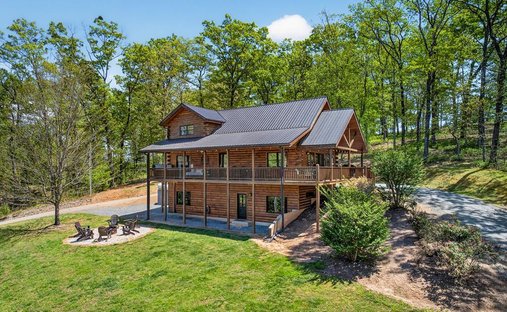 Casa a Mineral Bluff, Georgia, Stati Uniti 1
