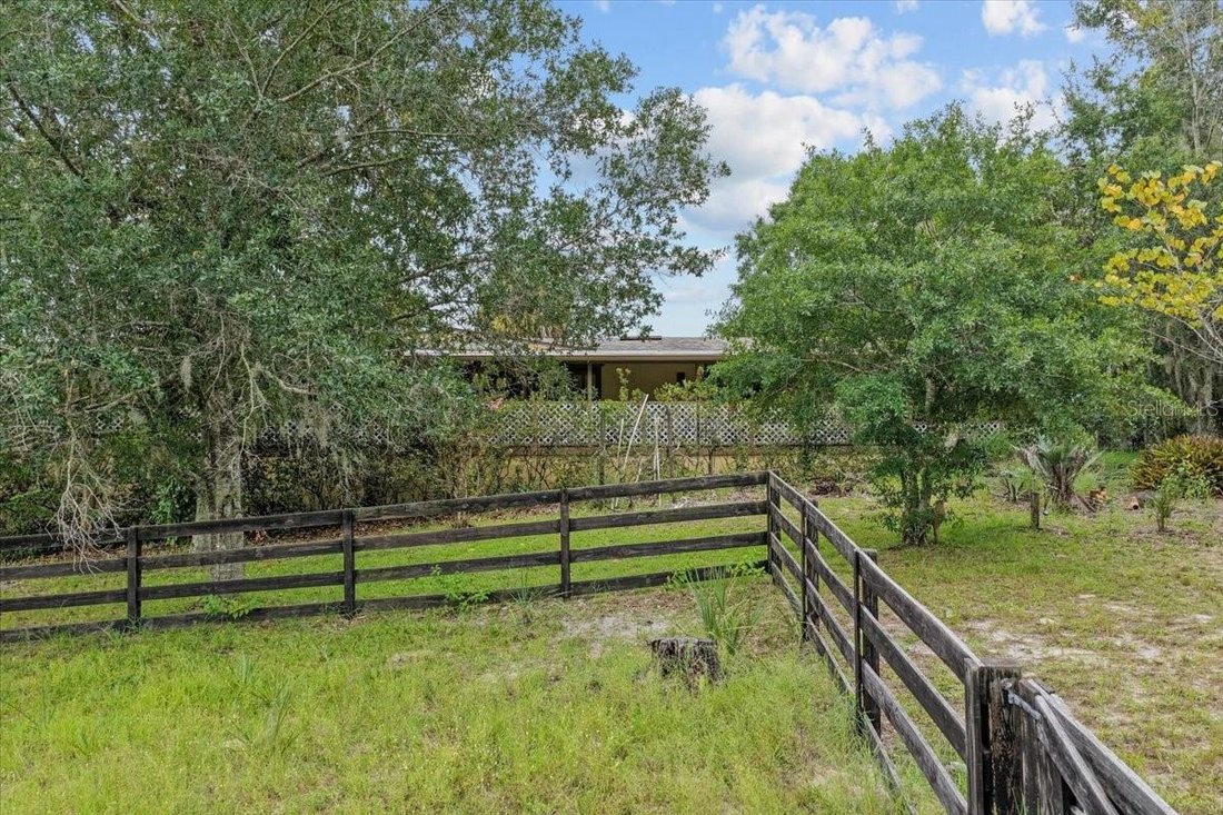 Spring Hill, Florida, United States 1 - 17734722
