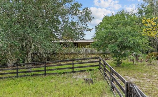 Spring Hill, Florida, United States 1