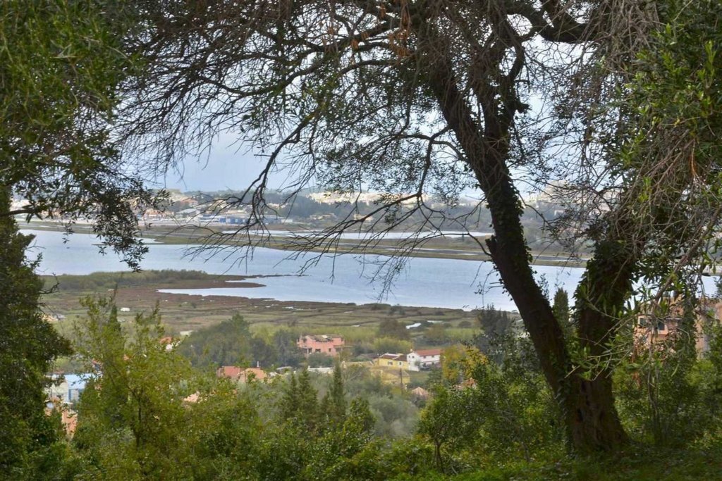 Villa in Corfu, Peloponnese, Western Greece and the Ionian, Greece 5 - 17734805