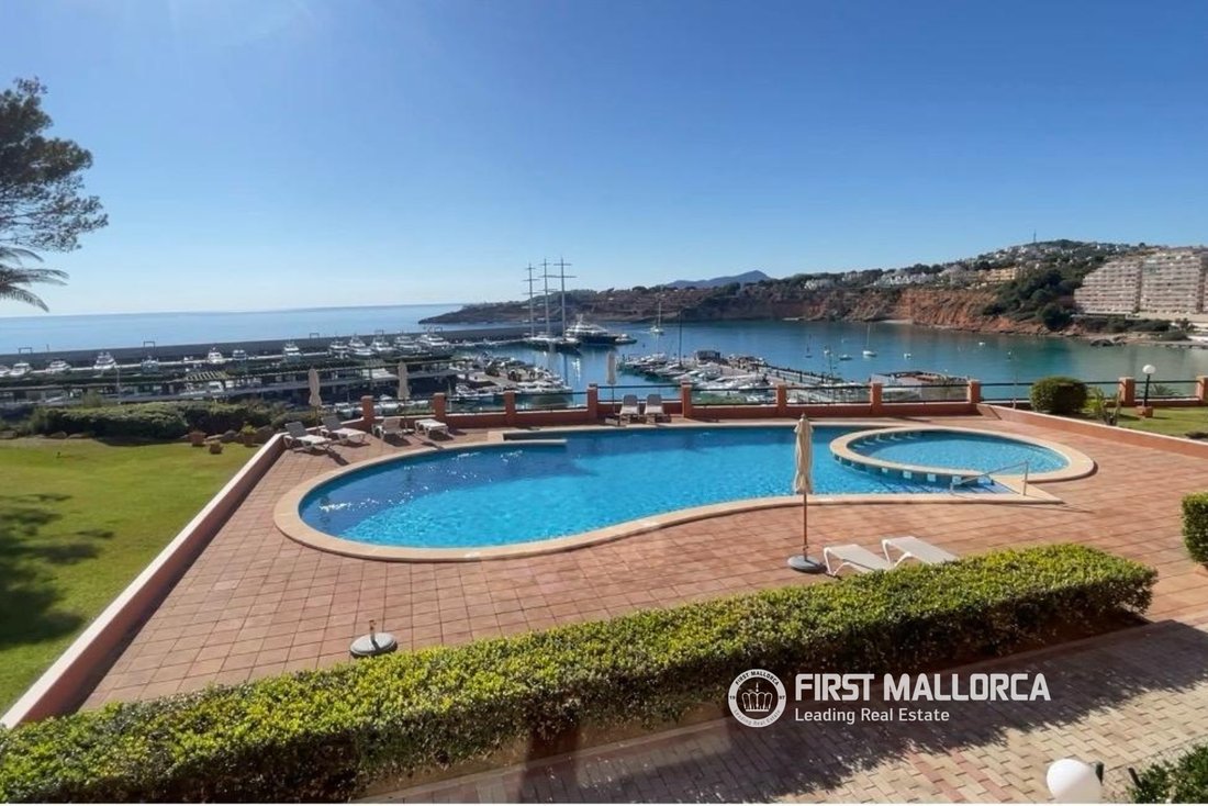 Apartment in Calvia, Balearic Islands, Spain 1 - 17704736