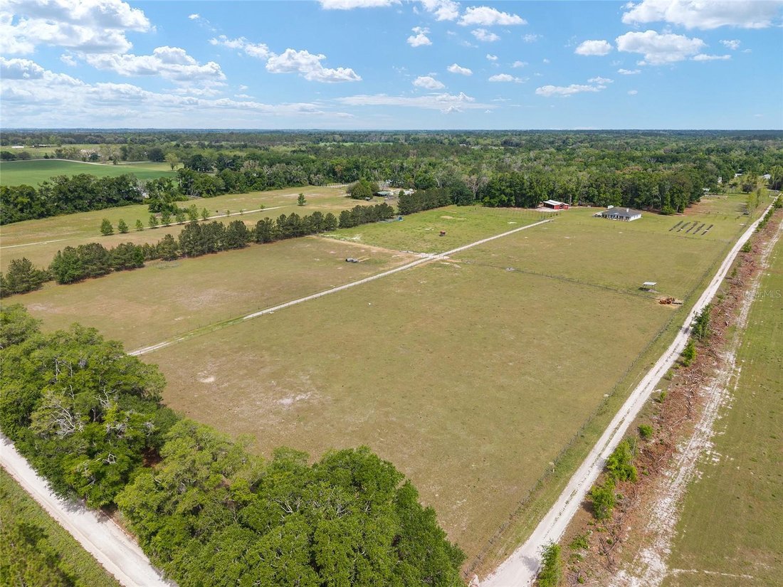 Farm Ranch in Wellborn, Florida, United States 4 - 17734718