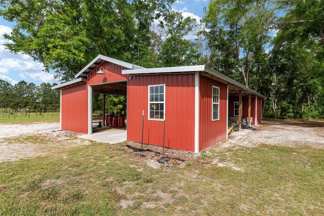 Farm Ranch in Wellborn, Florida, United States 2 - 17734718