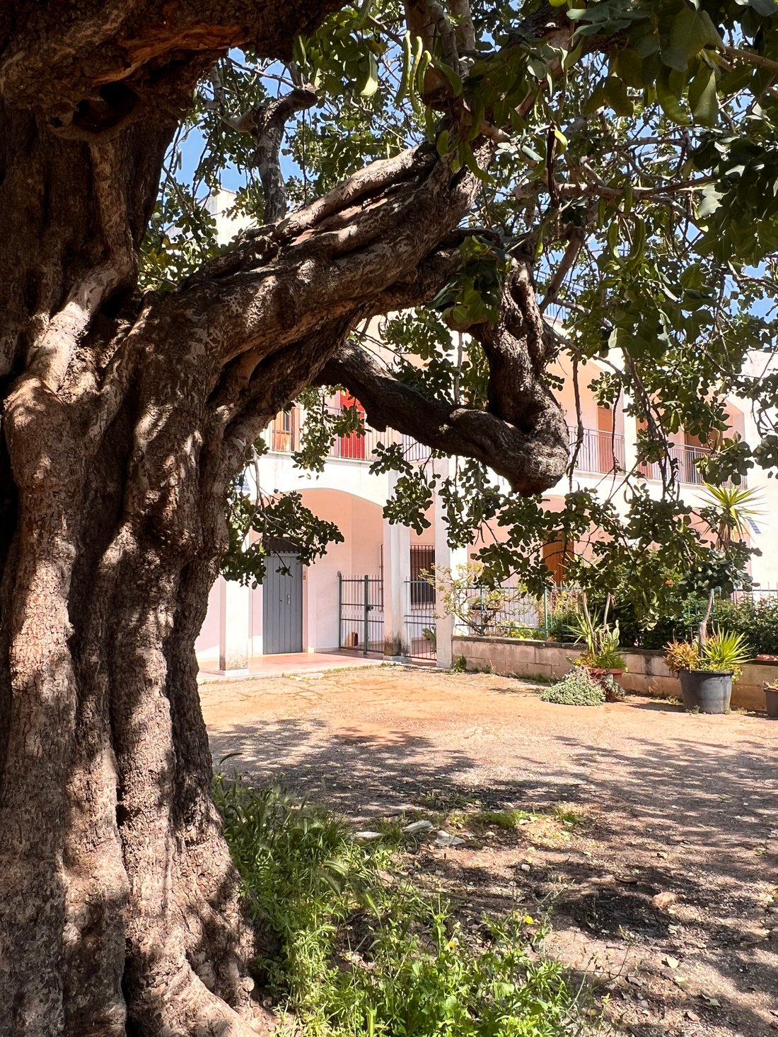 House in Gorgofreddo, Monopoli, Apulia 5 - 17739927