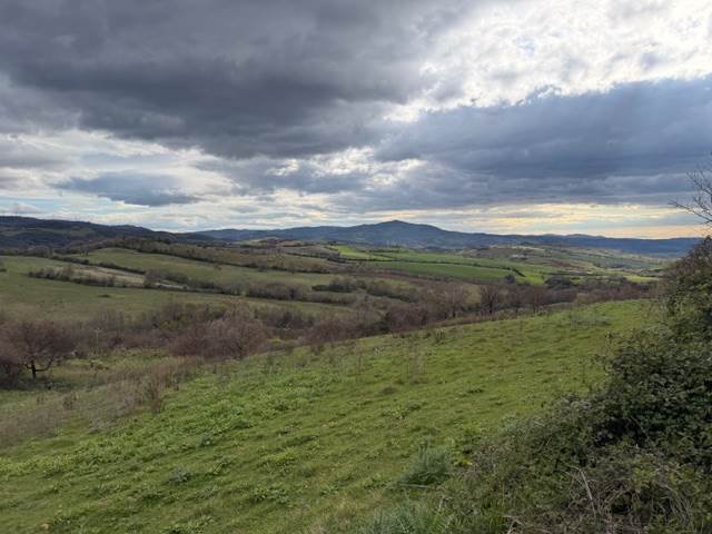 Estate in Campagnatico, Tuscany, Italy 4 - 17738714