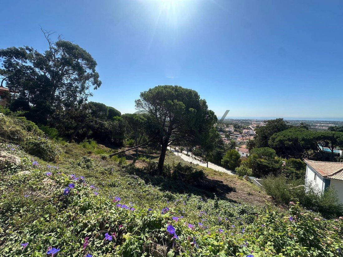 Land in Alcabideche, Lisbon, Portugal 5 - 17736043