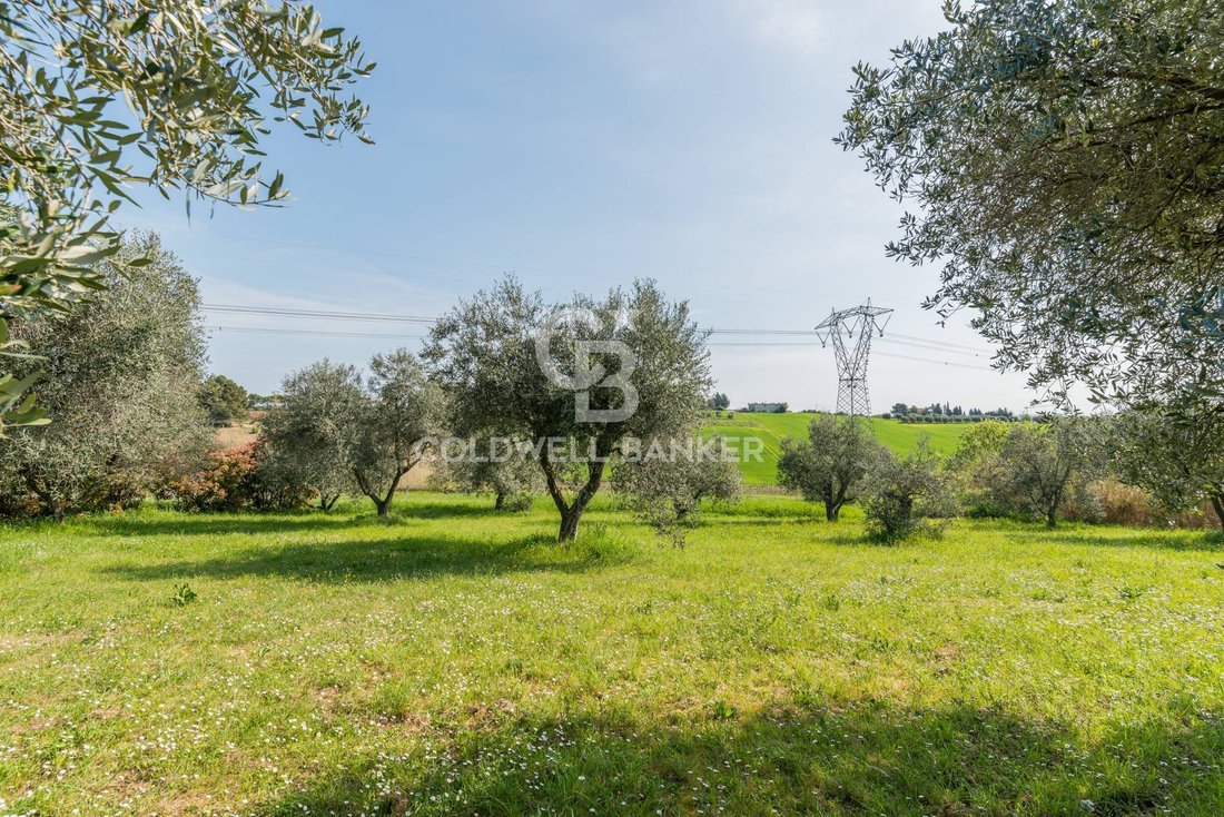 Villa in Misano Adriatico, Emilia-Romagna, Italy 5 - 17739673