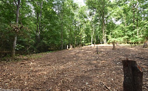 Land in Knoxville, Tennessee, United States 1
