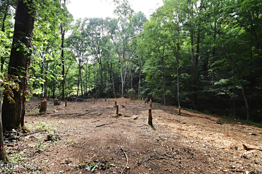 Land in Knoxville, Tennessee, United States 3 - 17736255