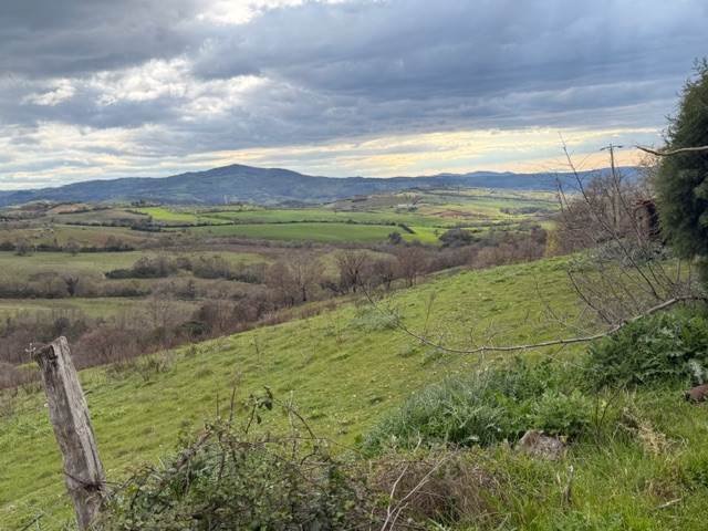Estate in Campagnatico, Tuscany, Italy 5 - 17738714