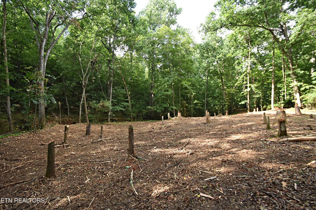 Land in Knoxville, Tennessee, United States 5 - 17736255