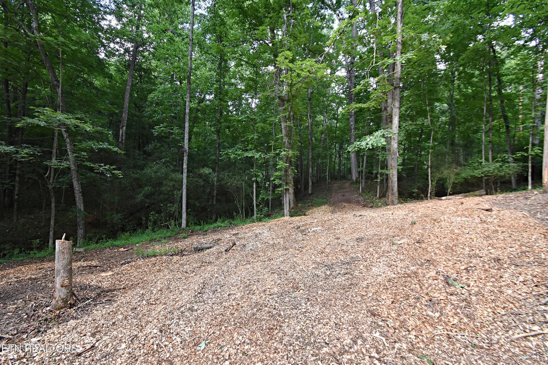 Land in Knoxville, Tennessee, United States 4 - 17736255