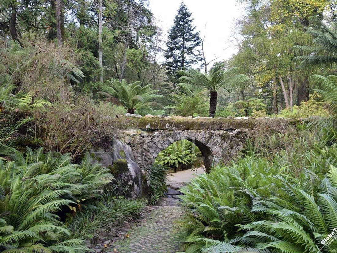 Land in Sintra, Lisbon, Portugal 3 - 17736022