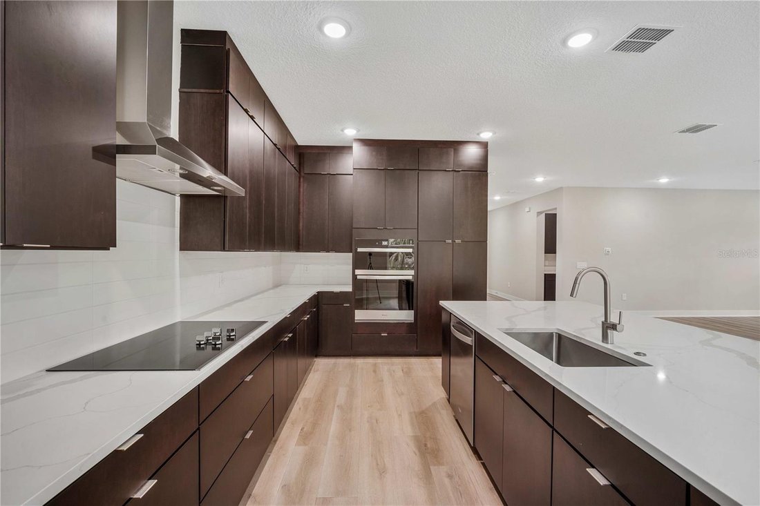 House in Tampa, Florida, United States 4 - 17181430