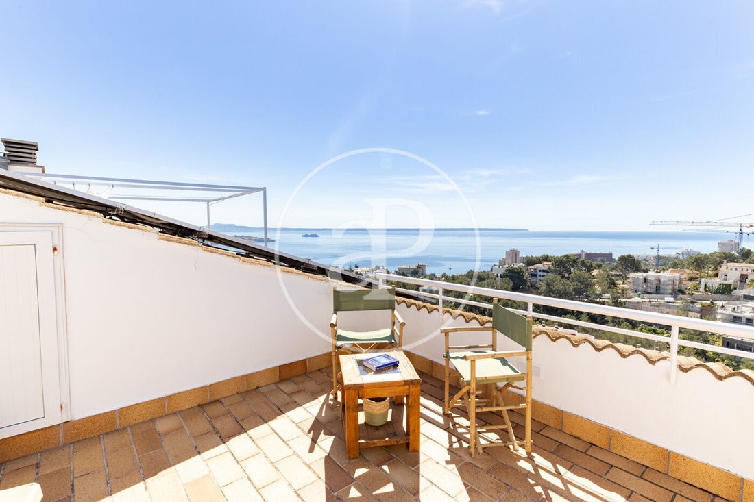 Apartment in Cas Catala, Calvia, Balearic Islands 1 - 17735989