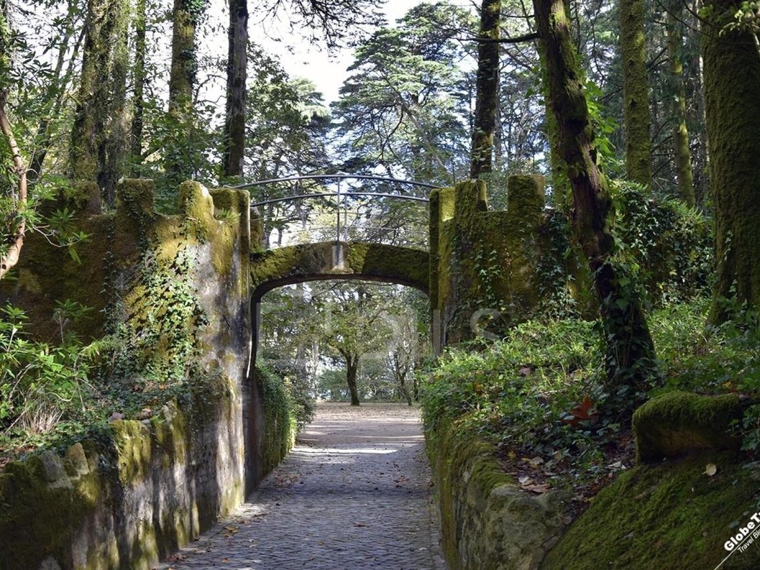 Land in Sintra, Lisbon, Portugal 2 - 17736022