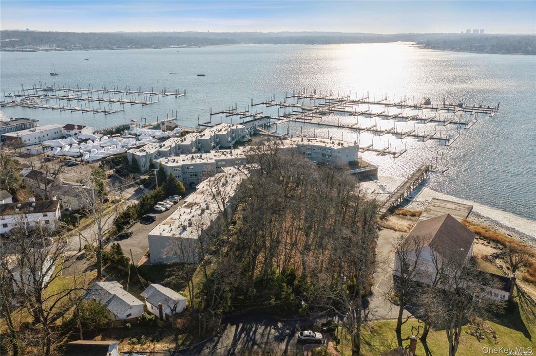 Port Washington, New York, United States 3 - 17735466
