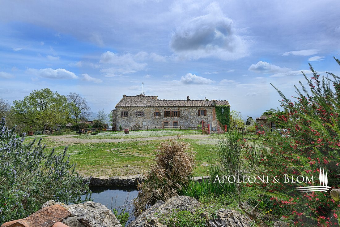 Country House in Castelnuovo Berardenga, Tuscany, Italy 2 - 17735611