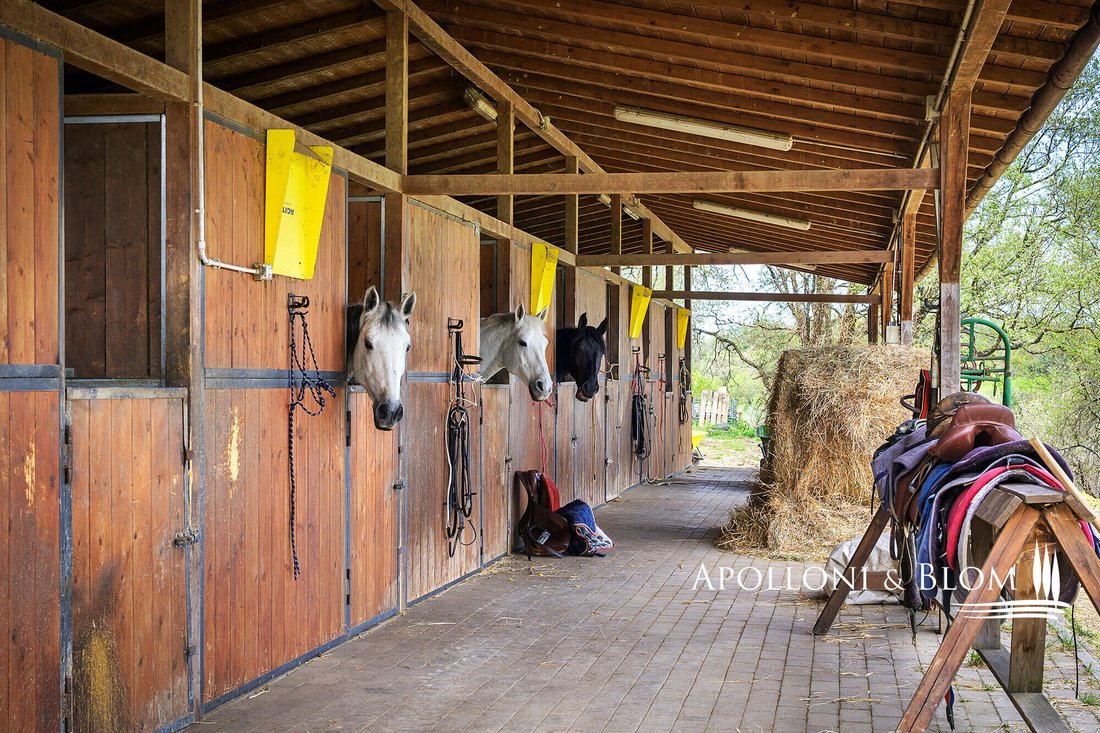 Country House in Castelnuovo Berardenga, Tuscany, Italy 3 - 17735611