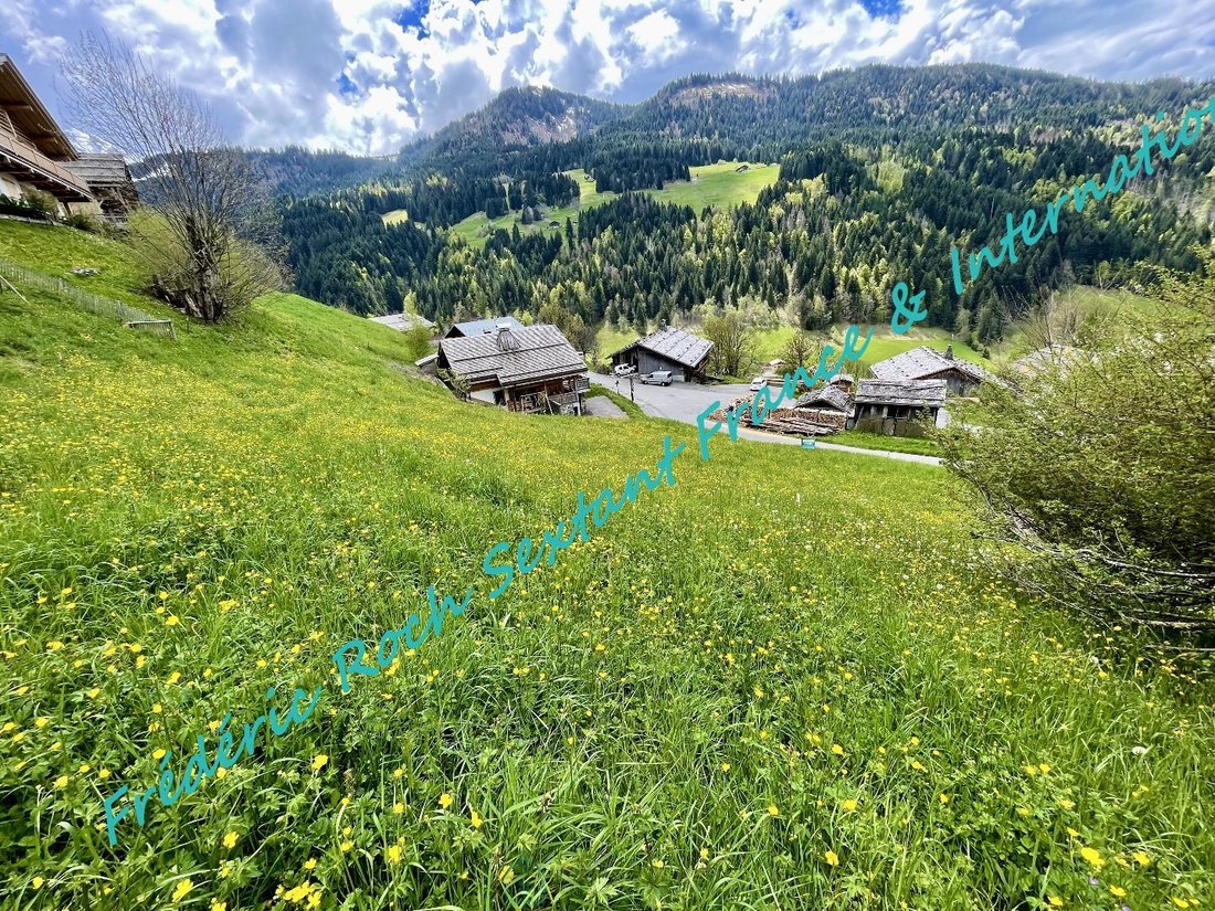 Land in Le Grand-Bornand, Auvergne-Rhône-Alpes, France 4 - 16769963