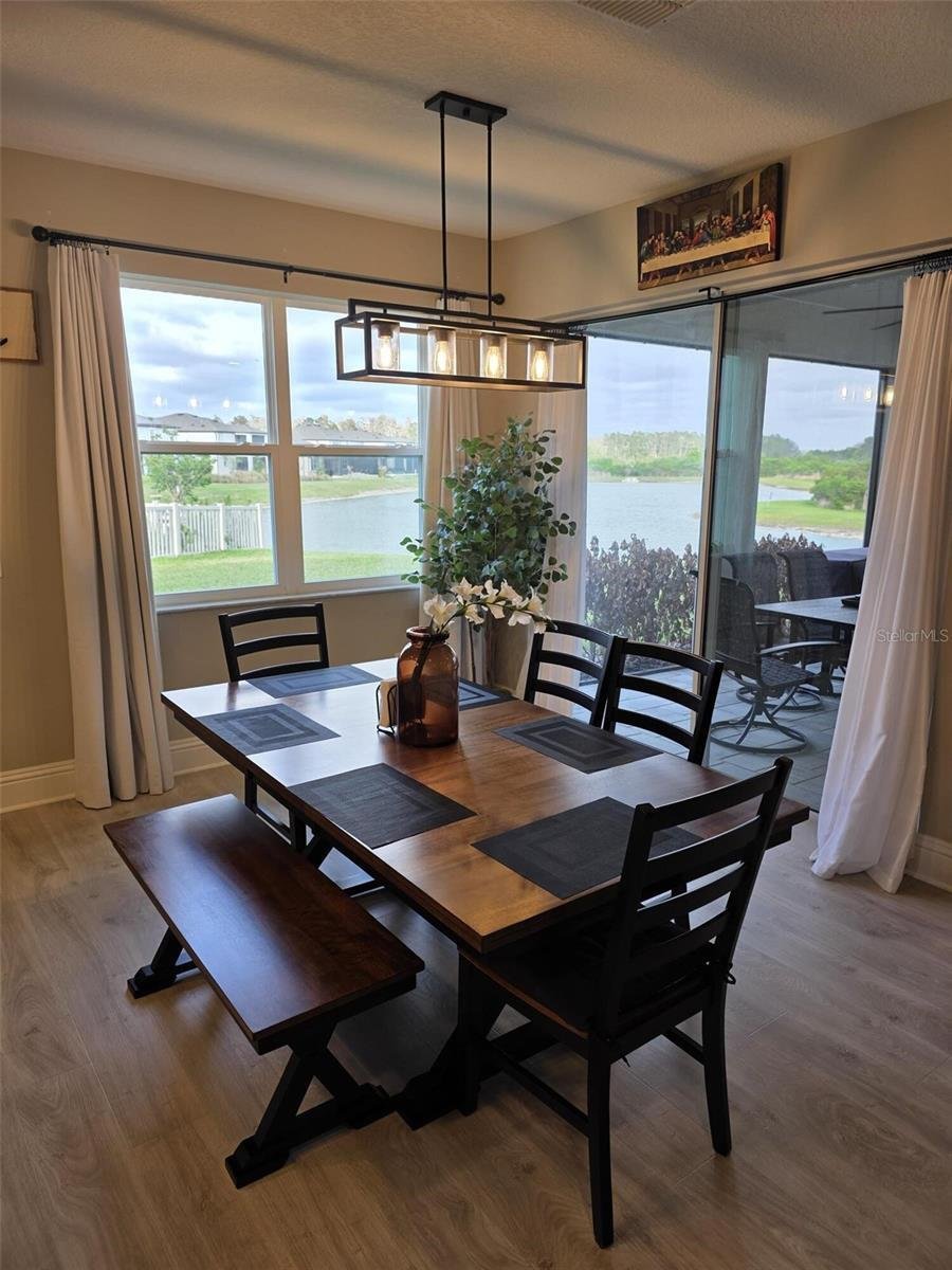 House in Wesley Chapel, Florida, United States 2 - 17737369