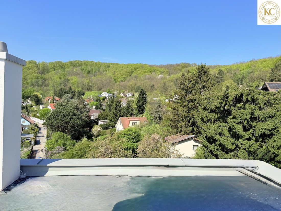 Villa in Vienna, Wien, Austria 5 - 17035630