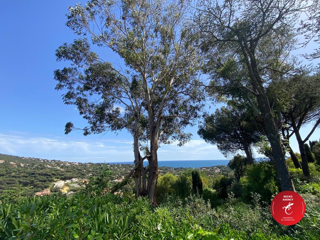 Villa in Les Issambres, Roquebrune-sur-Argens, France 4 - 17739798