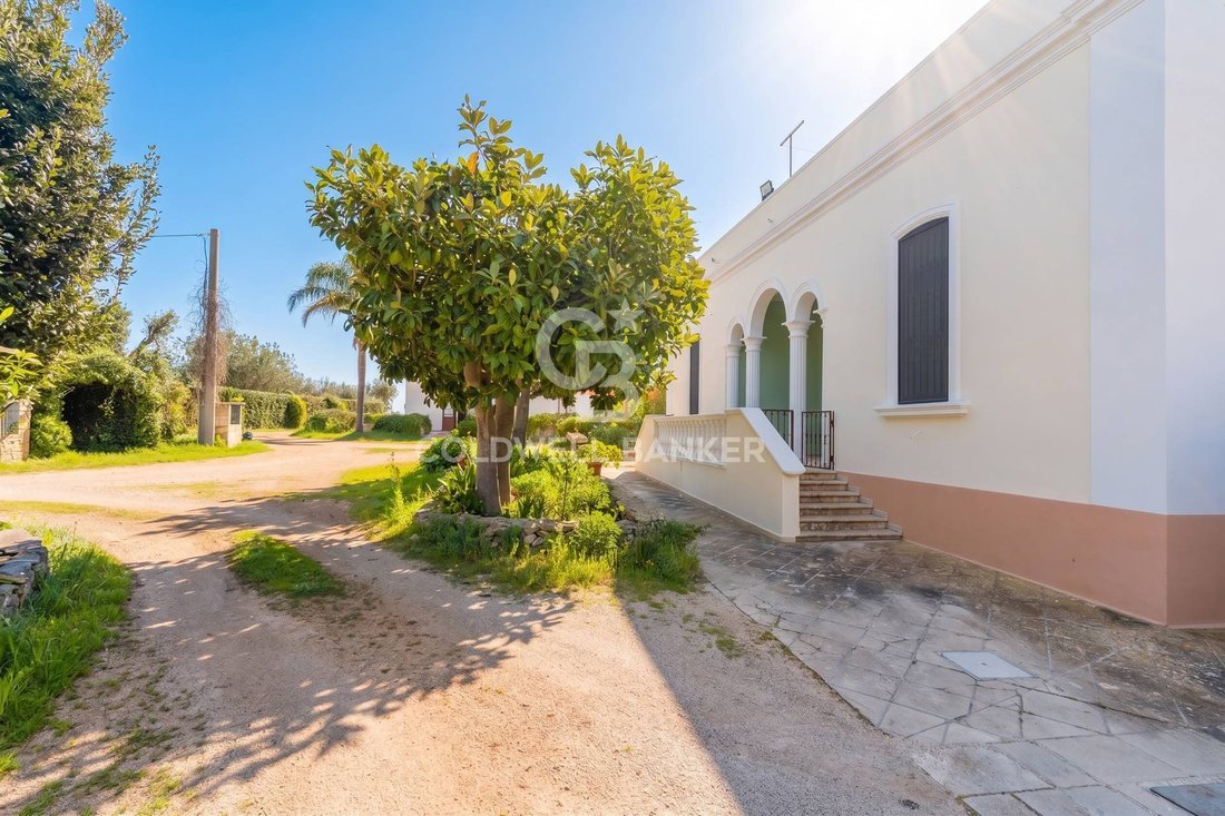 Copertino, Apulia, Italy 4 - 17739672