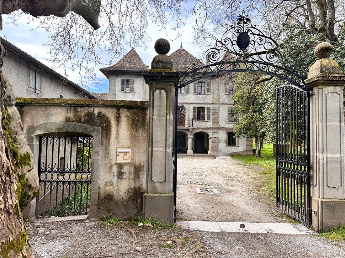 Villa in Douvaine, Auvergne-Rhône-Alpes, France 2 - 17735579
