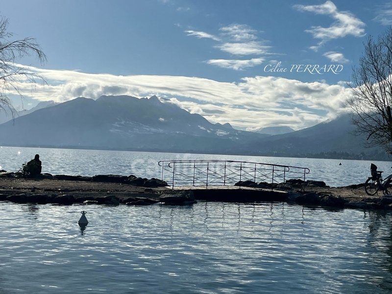 Apartment in Bonlieu, Annecy, France 5 - 17738965