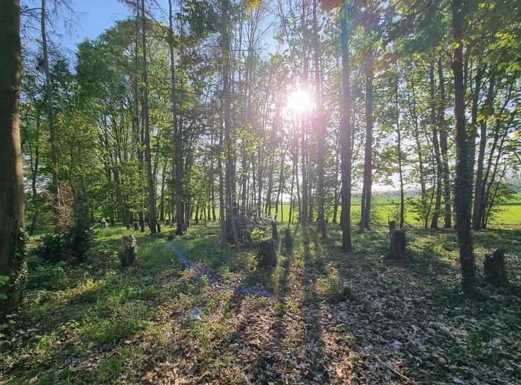 Estate in Namur, Quebec, Canada 5 - 17737818