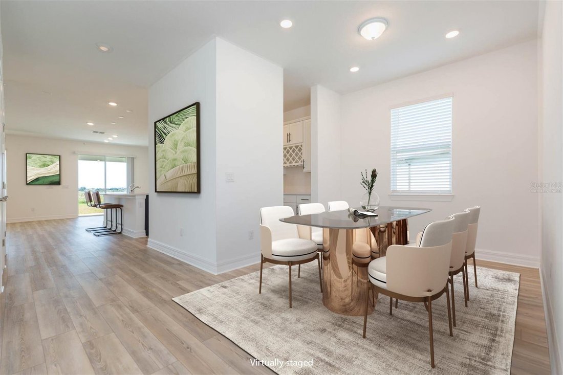 House in Wesley Chapel, Florida, United States 5 - 17185503