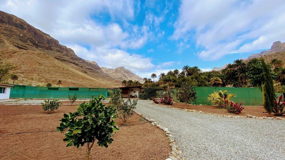 Land in San Bartolome de Tirajana, Canary Islands, Spain 4 - 17738004