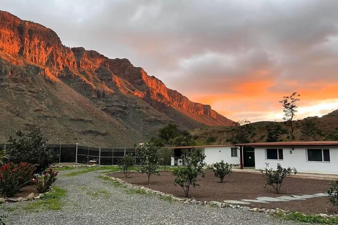 Land in San Bartolome de Tirajana, Canary Islands, Spain 1 - 17738004