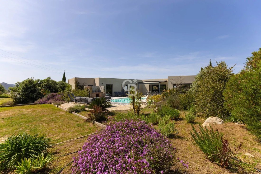 Villa in Corbara, Corsica, France 5 - 17739021