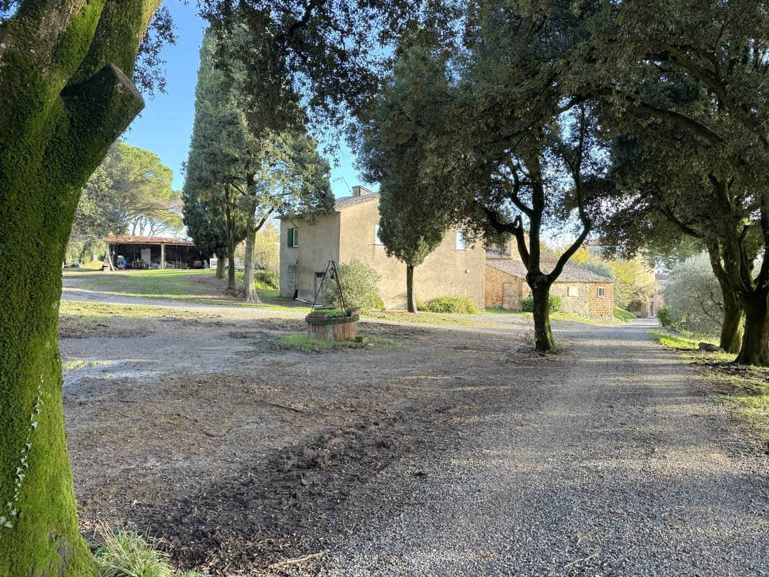 Villa in Castel Viscardo, Umbria, Italy 4 - 17737355