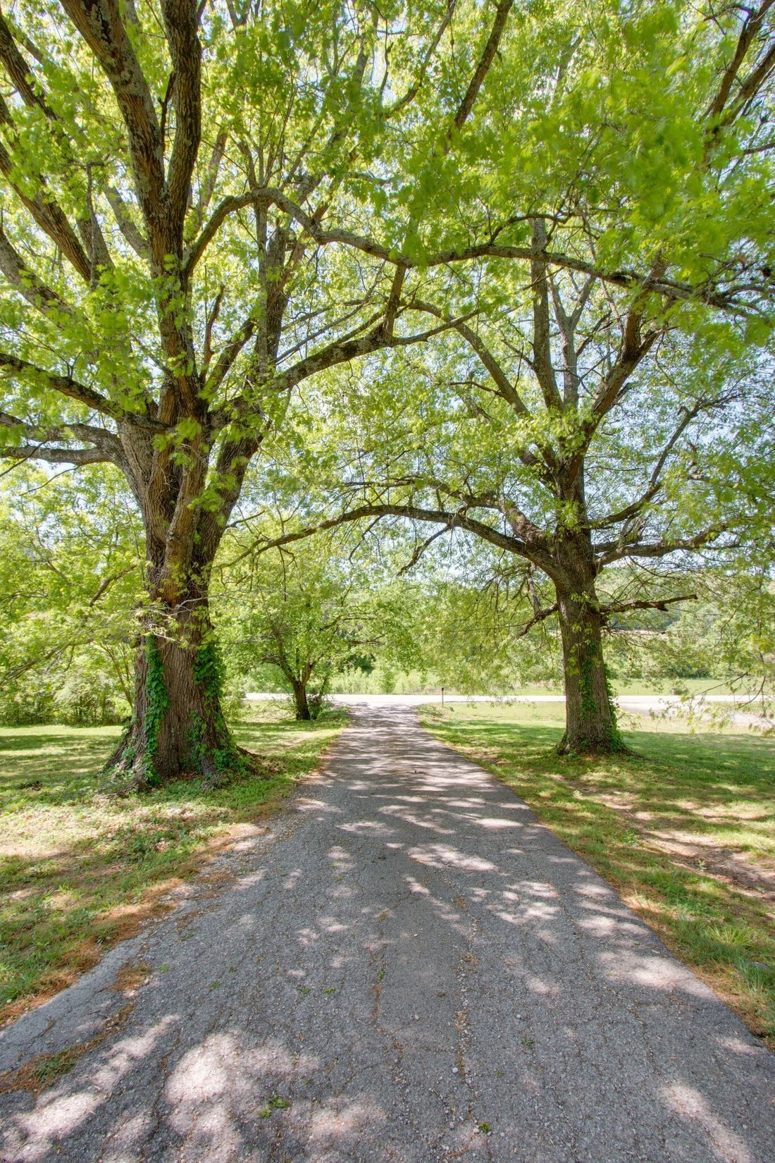 House in Spring Hill, Tennessee, United States 5 - 17526163