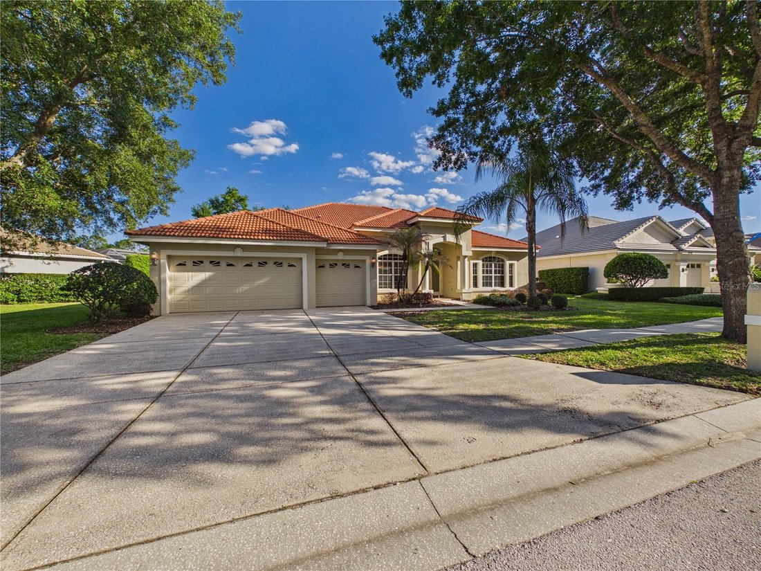 House in Tampa, Florida, United States 5 - 17737385