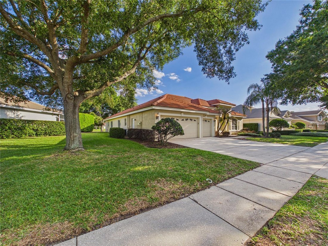 House in Tampa, Florida, United States 4 - 17737385