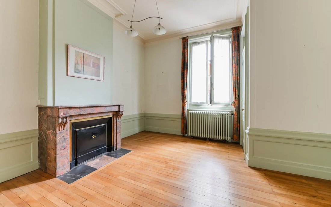 Apartment in Cordeliers-Célestins-Bourse, Lyon 2e Arrondissement, Lyon 5 - 17735795