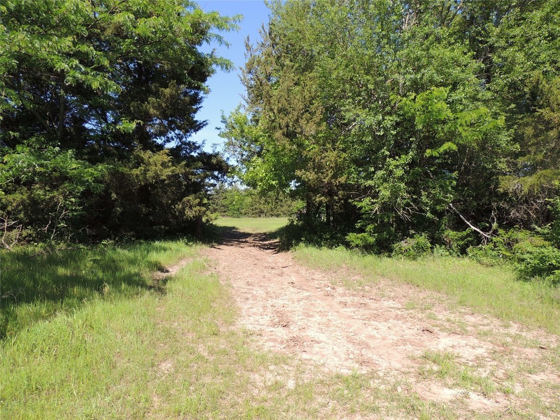 Land in Whitewright, Texas, United States 2 - 14667704