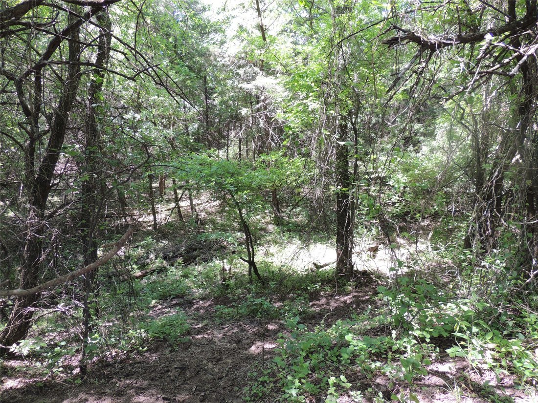 Land in Whitewright, Texas, United States 3 - 14667704
