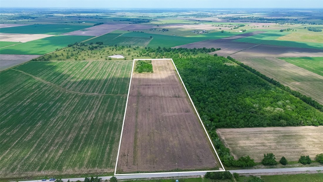 Land in Beasley, Texas, United States 2 - 17739087