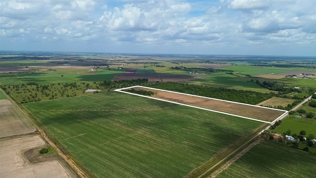 Land in Beasley, Texas, United States 4 - 17739087