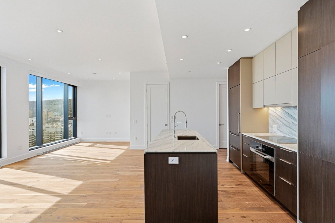 Condo in Montréal, Quebec, Canada 5 - 17738854